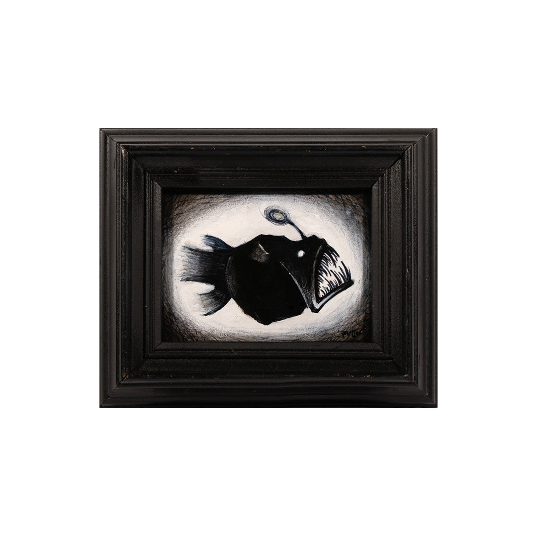 Small Anglerfish 2025