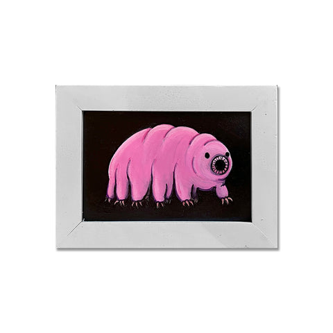 Pink Tardigrade