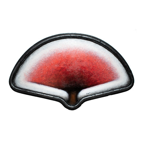 Image of Red Fan Tree by Autumn Justine Miller